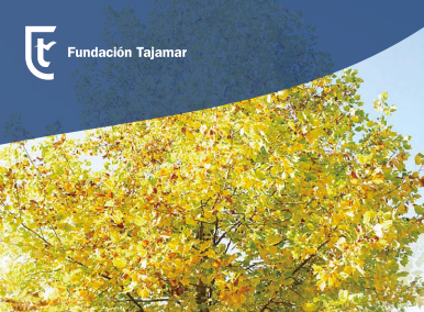 Memoria de actividades 2017 - Fundación Tajamar