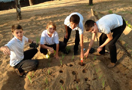 Diversidad Horticoterapia - Fundación Tajamar